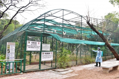 The Nehru Zoological Park (NZP) has set up a rapid action force team to monitor birds on daily basis in view of the outbreak of avian influenza or bird flu in some parts of the country.