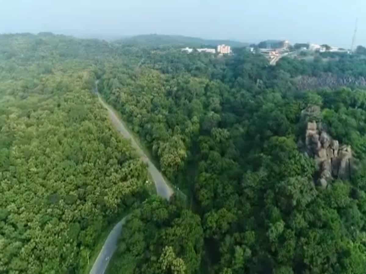 Hyderabad: HMDA develops 16 urban forest blocks in two years