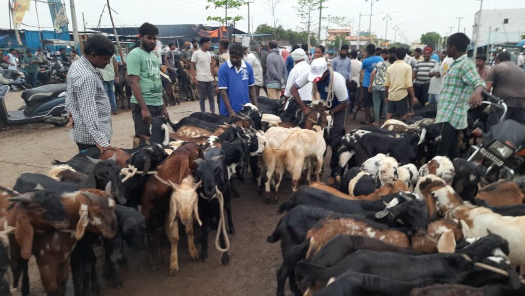 eid-ul-adha in hyderabad