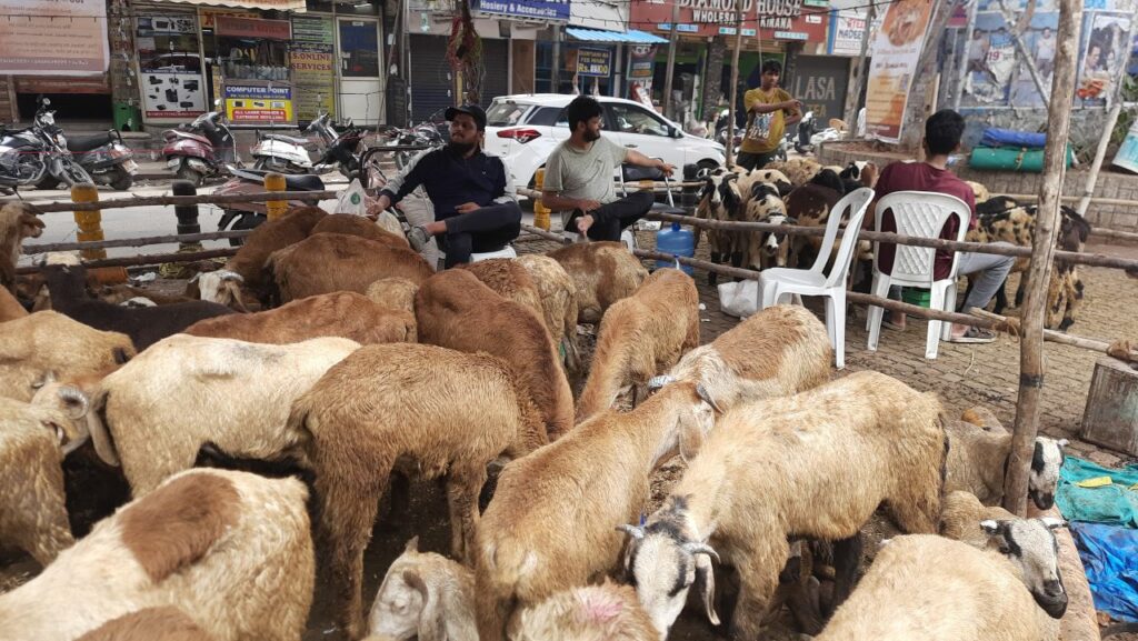 eid-ul-adha in hyderabad