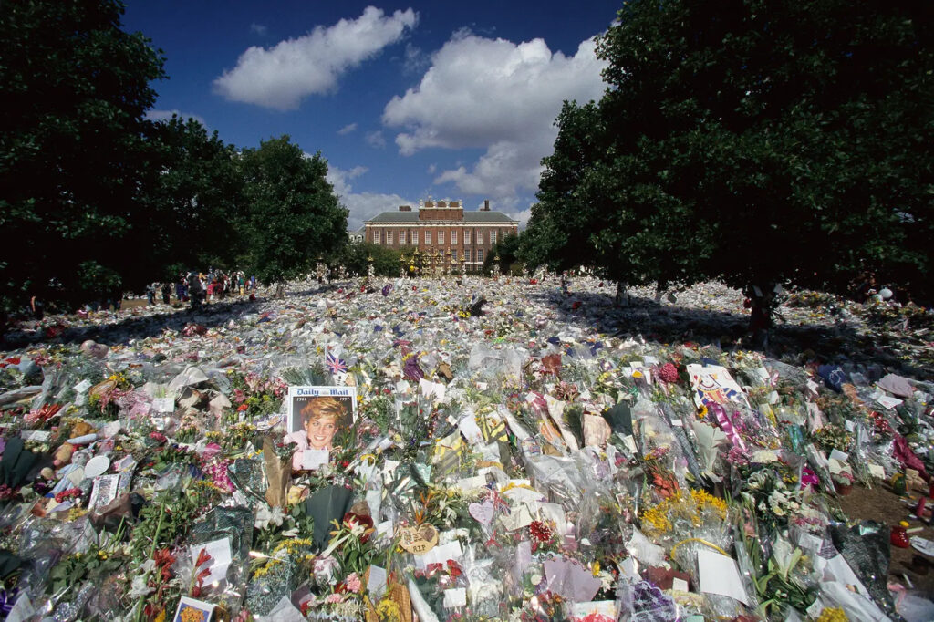 South African cricket player in yellow and green uniform on the field during a match.