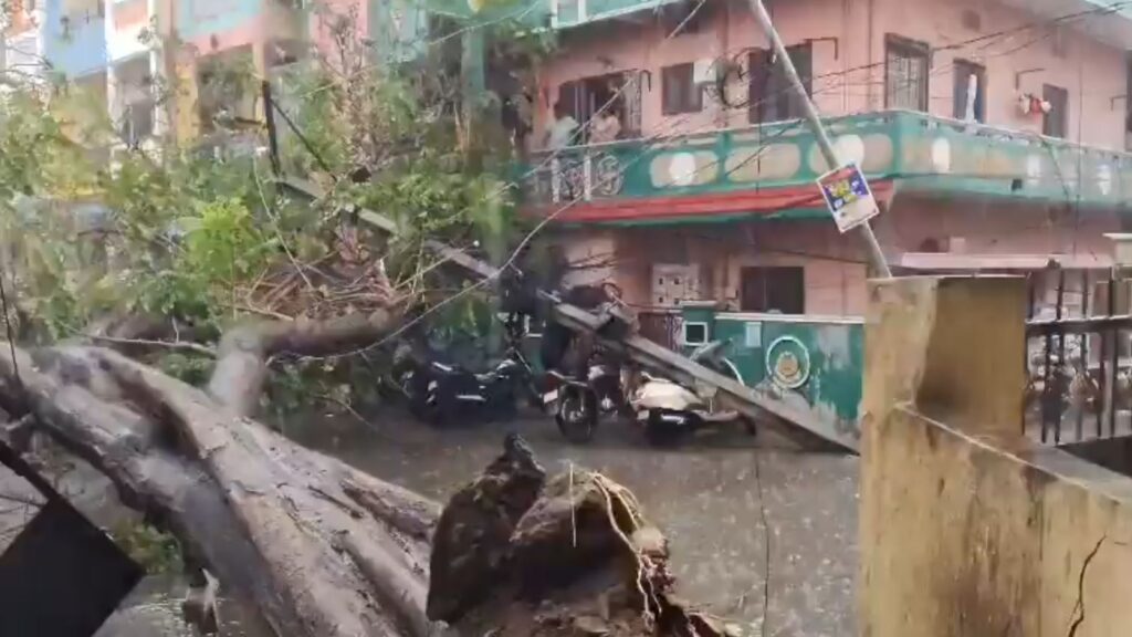 Uprooted tree blocking street after storm, causing disruption and damage to nearby vehicles and buildings.