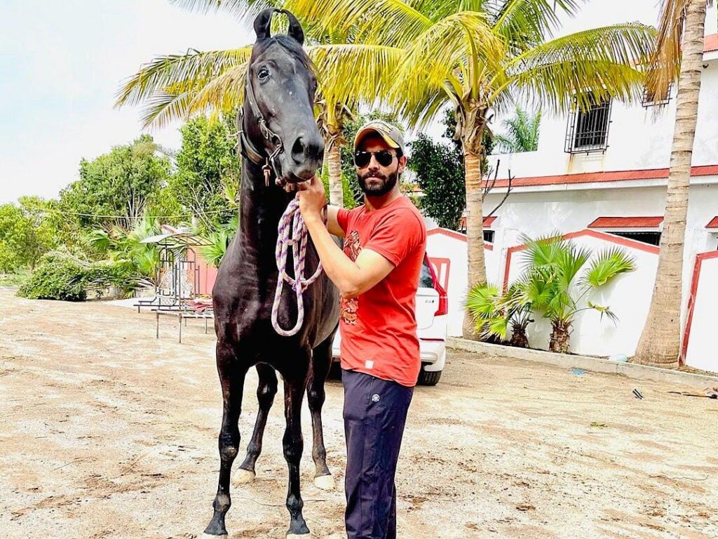 Horse and man standing outdoors with palm trees and buildings in the background.