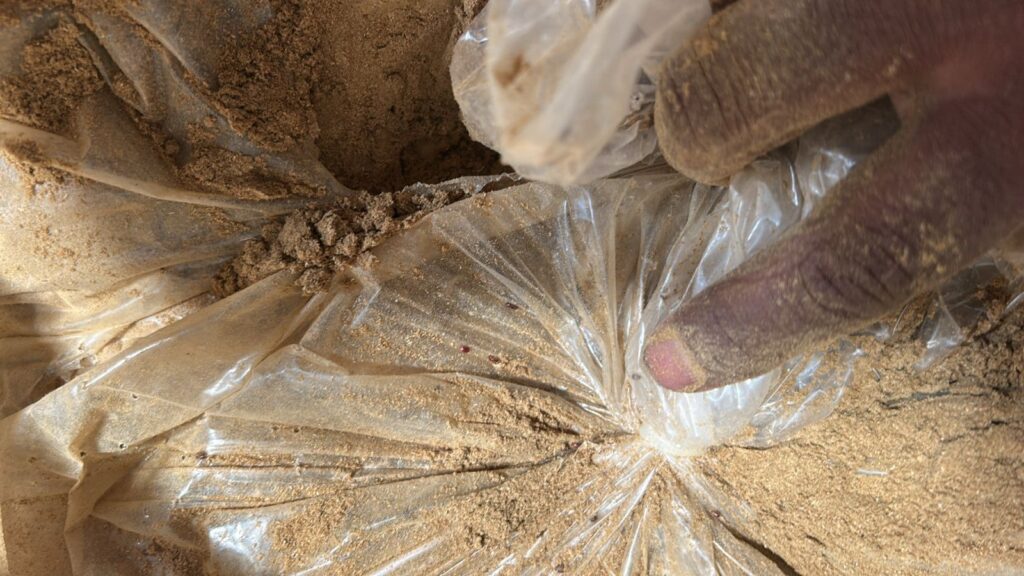Close-up of a hand holding a plastic bag filled with soil or sand, outdoors during daytime.